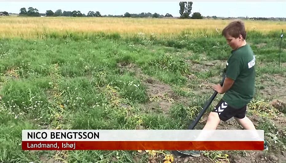 11-årige Nico står op klokken fem og går i marken inden skoledagen begynder.