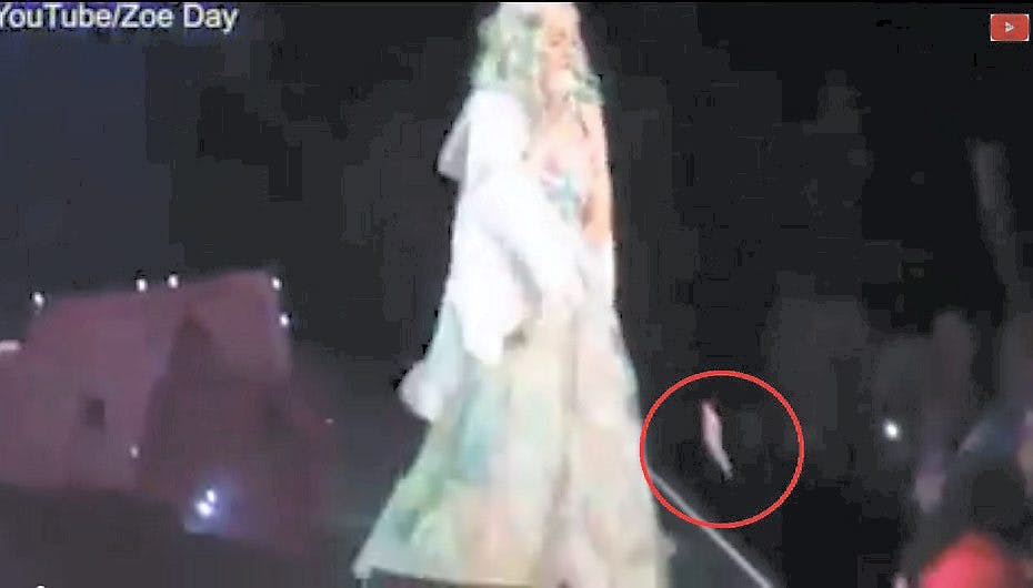 I videoen nederst kan du se, hvordan Katy Perry reagerede da hun blev ramt af en slikkepind