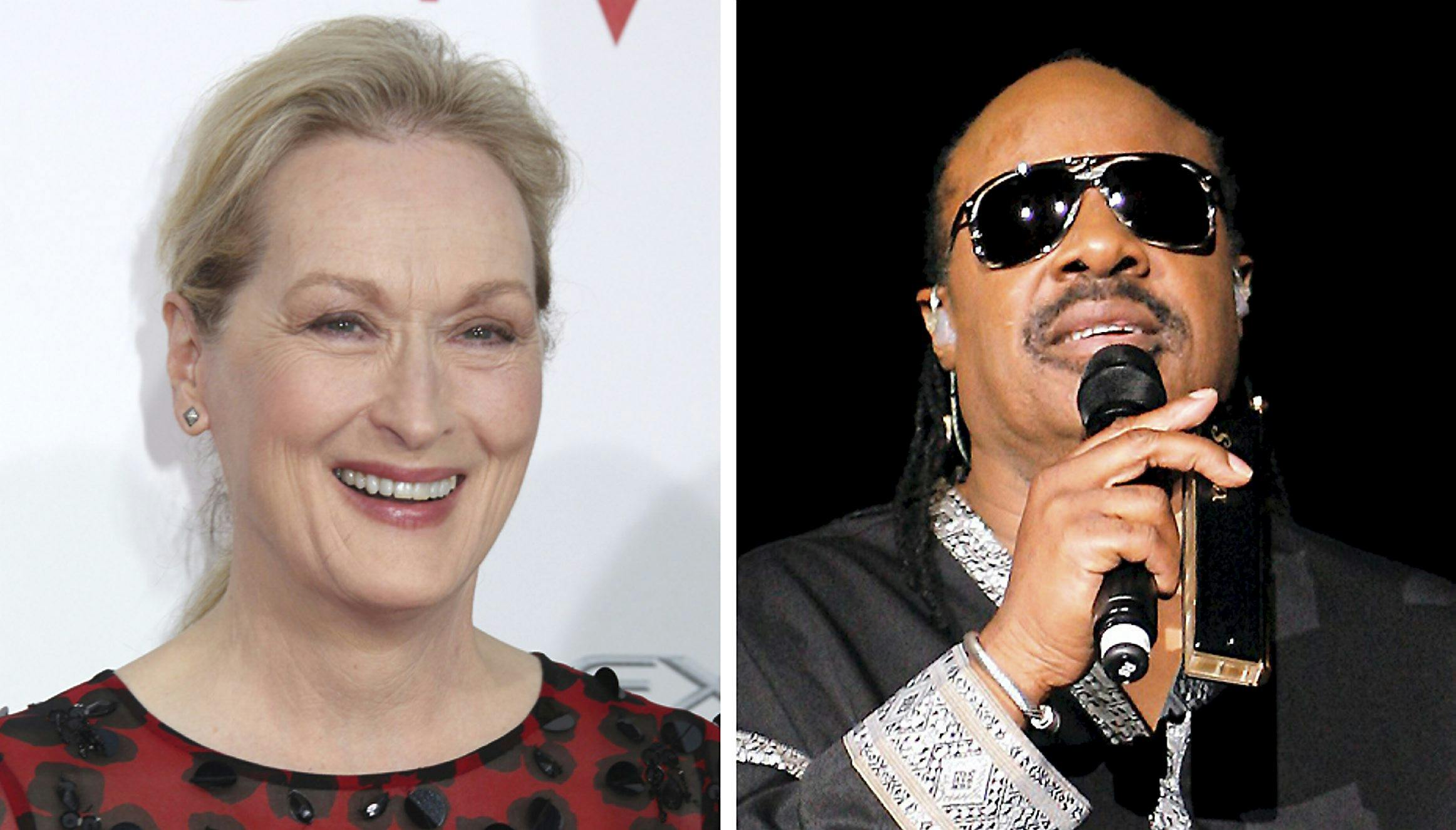 Meryl Streep og Stevie Wonder er begge blevet ikoner inden for deres fag