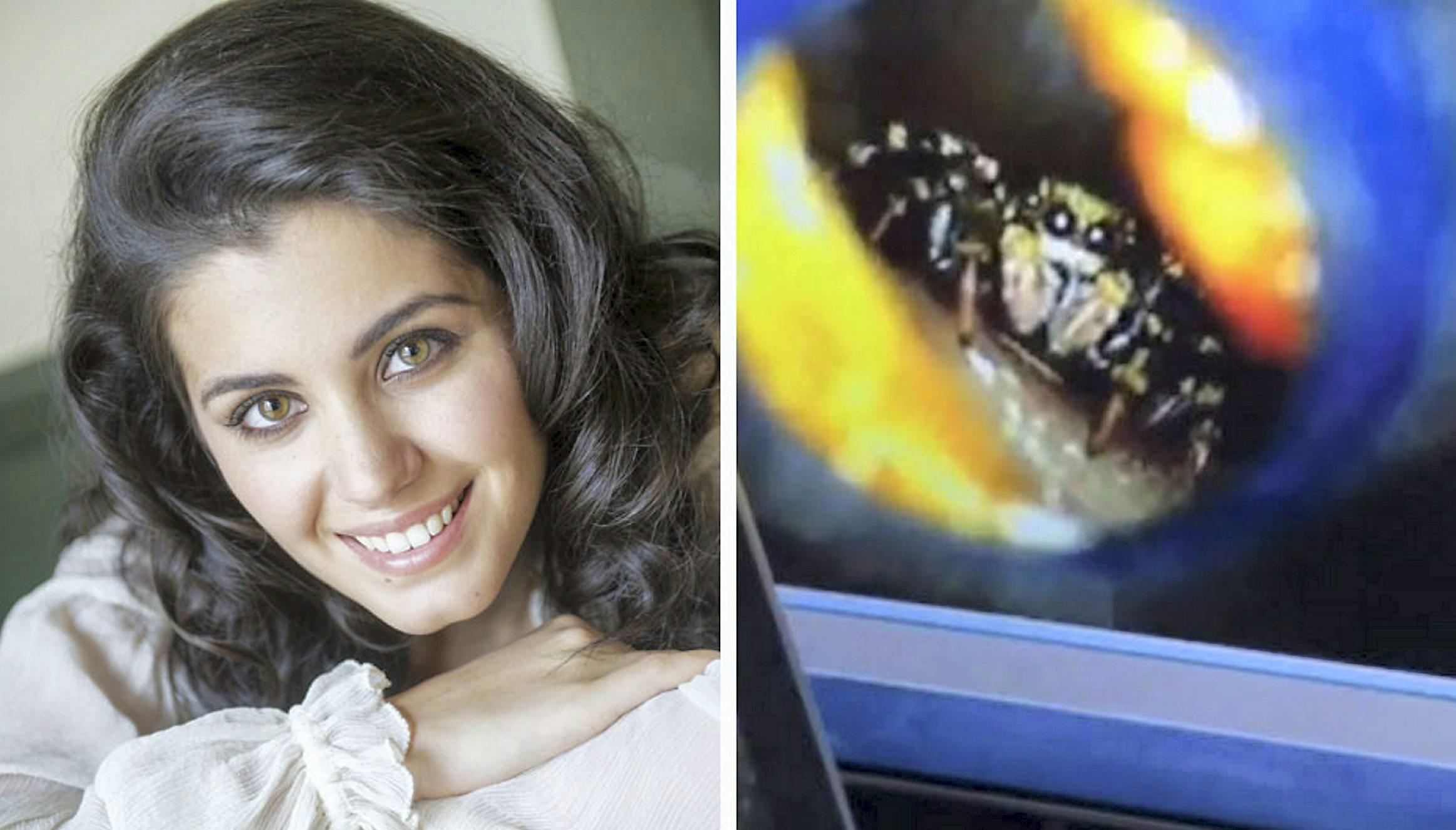 Katie Melua har haft en ubunden gæst i øret