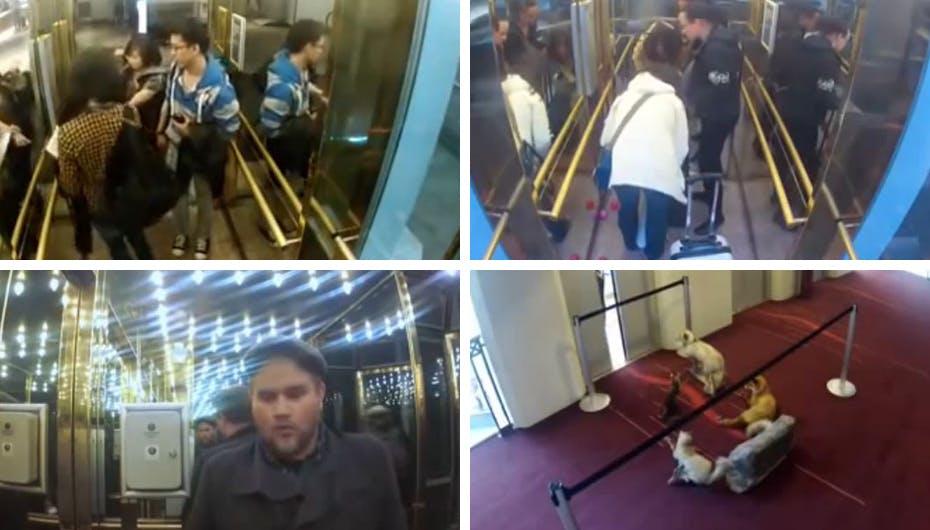 Norske brødre driller folk i elevatoren - og dét er sjovt