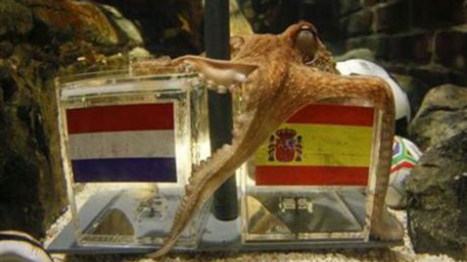 https://imgix.seoghoer.dk/media/se-og-hoer/2010/bizart/paul-octopus1-jpg.jpg
