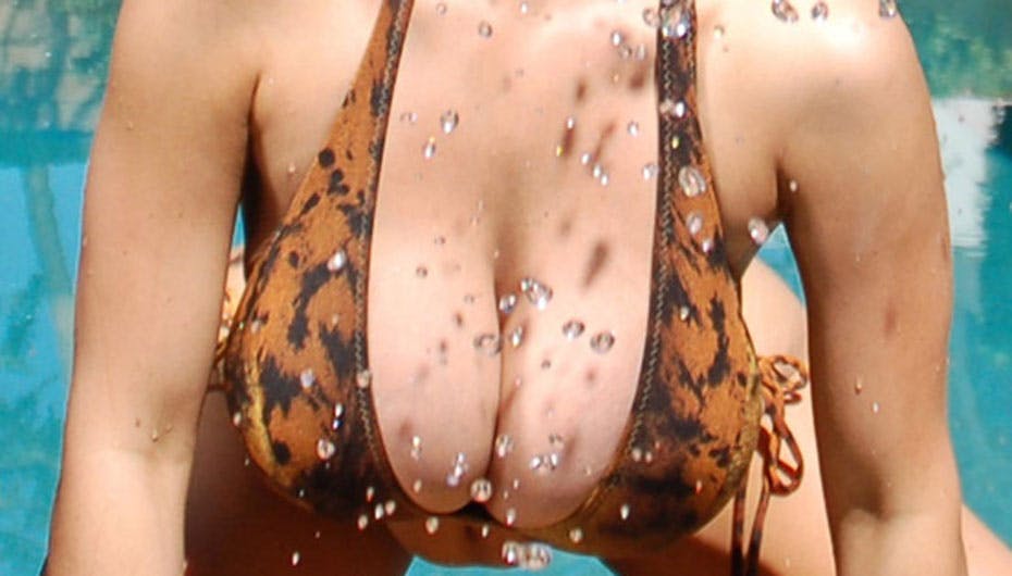 Lige til at sætte tænderne i. Velbekomme!