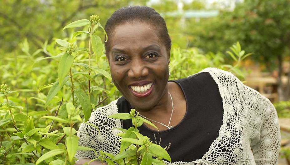 Jazzsangerinden Etta Cameron kom til Danmark i starten af halvfjerdserne og har siden været en af landets største artister