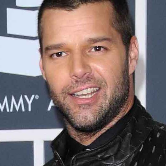 https://imgix.seoghoer.dk/media/se-og-hoer/2010/kendte-udland/marts/rickymartin-homohygge1-jpg.jpg