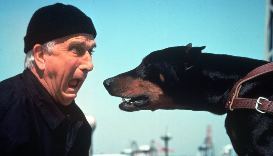 Sådan kender vi bedst Leslie Nielsen - i rollen som den vanvittige betjent Frank Drebin