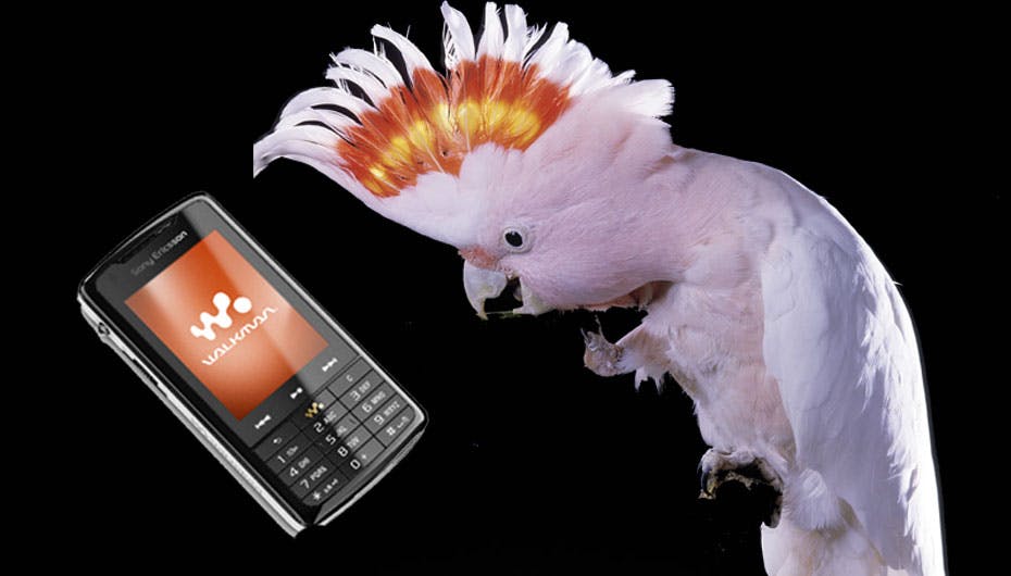 "Hallo, så vil jeg gerne hentes..."