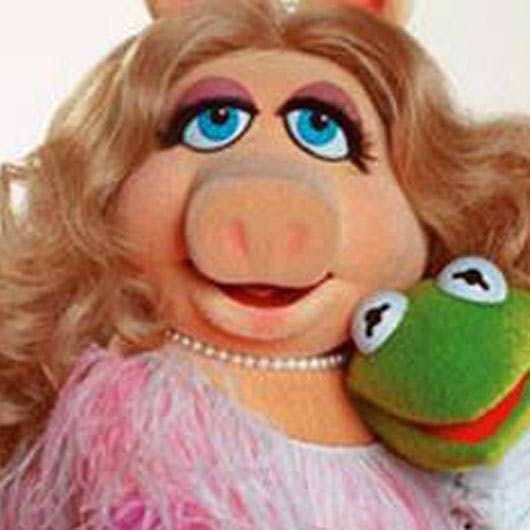 https://imgix.seoghoer.dk/media/se-og-hoer/film-og-tv/kermit-piggy-agt1-jpg.jpg