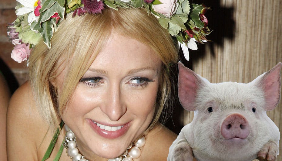 Måske er det sådan en lille lyserød pusling, Paris Hilton ønsker sig