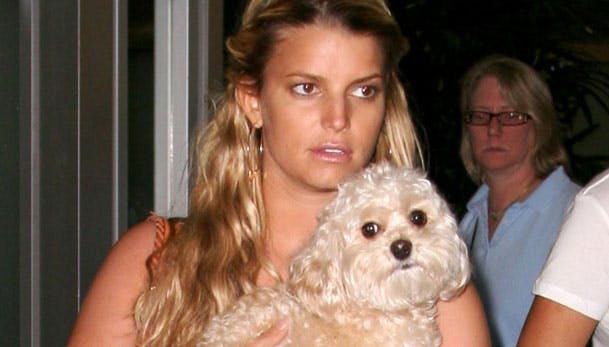 https://imgix.seoghoer.dk/media/se-og-hoer/musik-09/jessica-simpson-mistet-hund-jpg.jpg