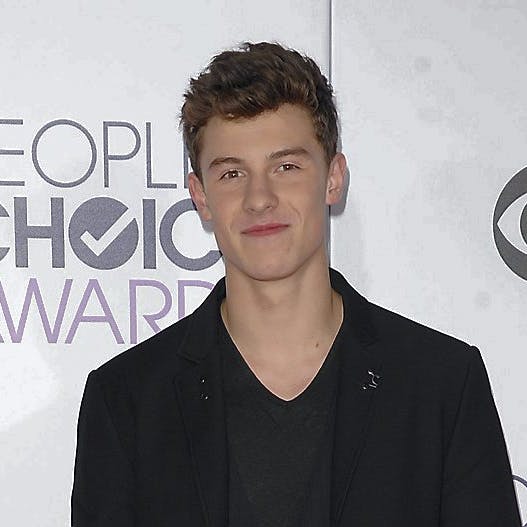 https://imgix.seoghoer.dk/media/vipedia/shawn_mendes.jpg