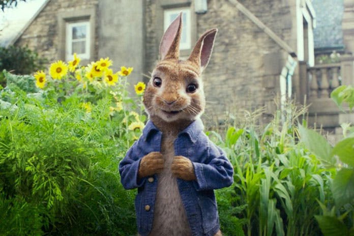 https://imgix.seoghoer.dk/peterrabbit.jpg