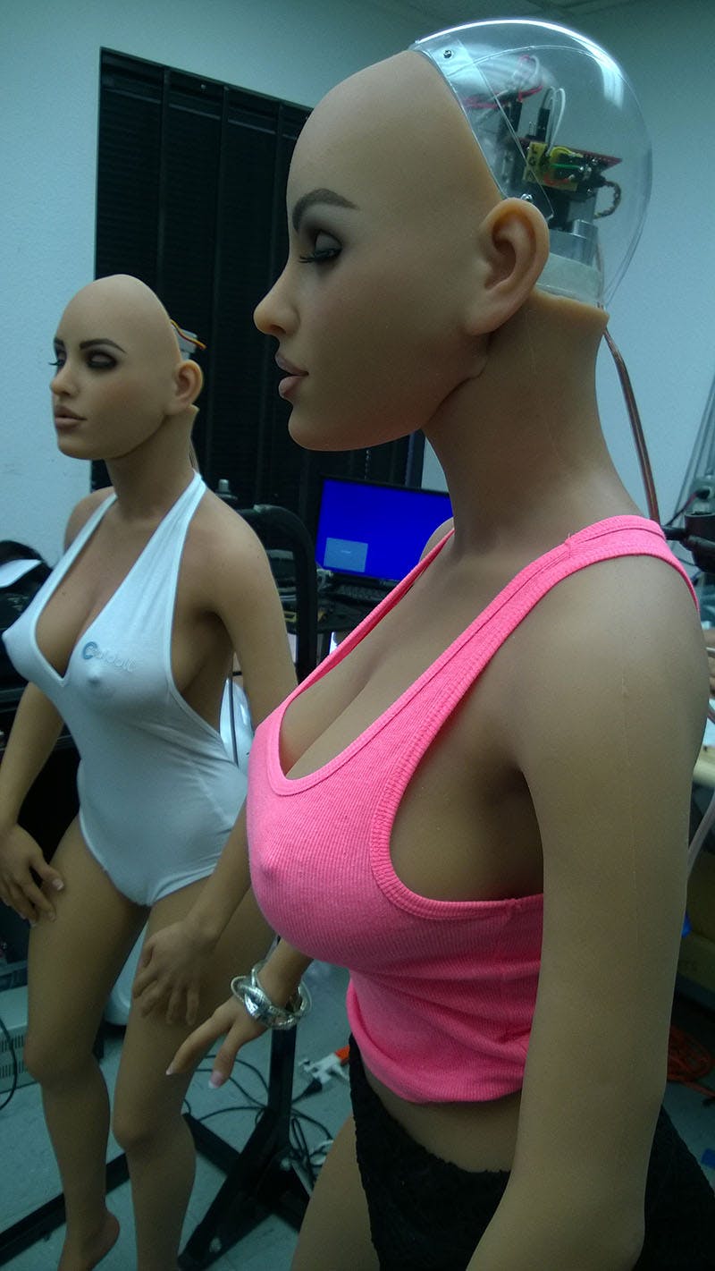 https://imgix.seoghoer.dk/sexrobot3.jpg