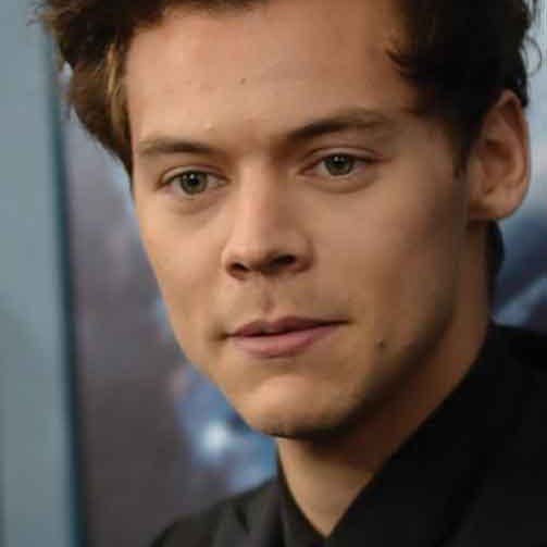 https://imgix.seoghoer.dk/storage_1/media/harry-styles.jpg