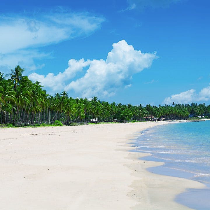https://imgix.seoghoer.dk/storage_1/media/nacpan_beach__0.jpg