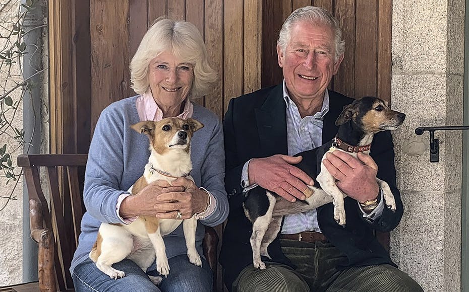 Kong Charles skal med sin hustru Camilla nu regere i Storbritannien, Nordirland og 14 andre Commonwealth-lande.