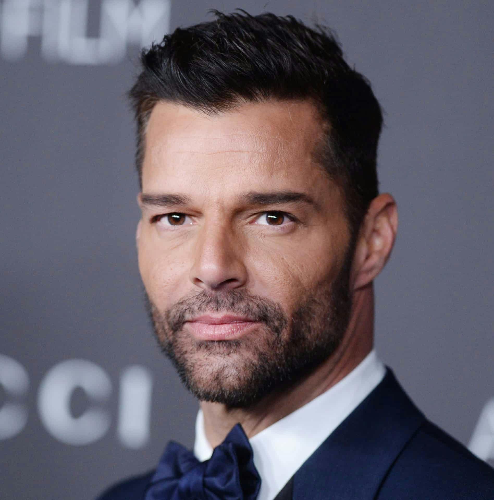 https://imgix.seoghoer.dk/storage_1/media/ricky_martin.jpg