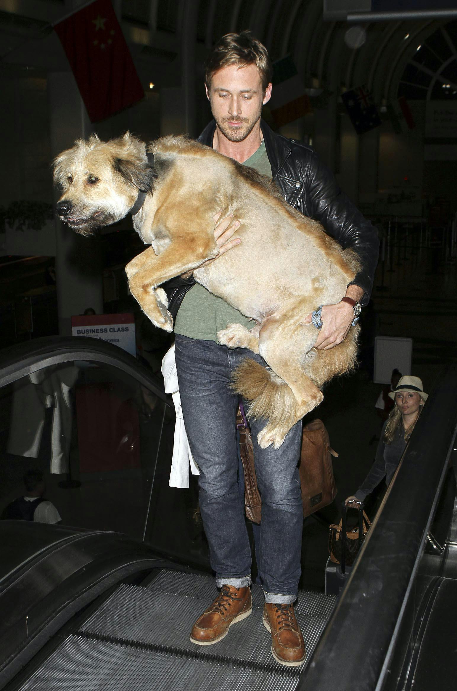 https://imgix.seoghoer.dk/storage_1/media/ryan_gosling_med_sin_hund_george_i_lufthavnen_i_la_i_2011.jpg