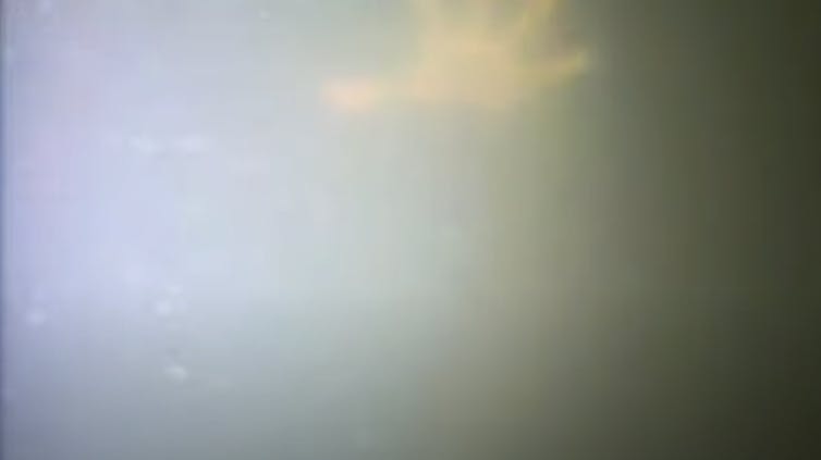 Dykker i chok: Han er i live!