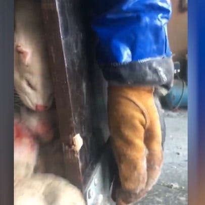 https://imgix.seoghoer.dk/video_thumbnails/KfzT9EhF-n1EgJUfi.jpg