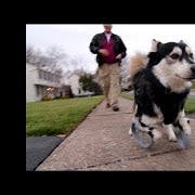 https://imgix.seoghoer.dk/youtube_thumbnails/uRmoowIN8aY.jpg